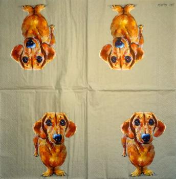 HUN-015 Hunde - 3-lagig - Ihr - Nicky Litchfield